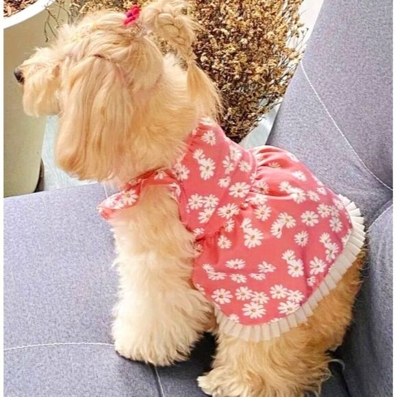 Daisy Breathable Pink Dog Cat XL‎ Pet Dress NWOT - Picture 1 of 4